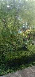 Eight Courtyards (D27), Condominium #594470301